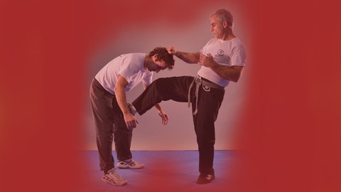 Krav Maga - Official program FEKM Brown Belt