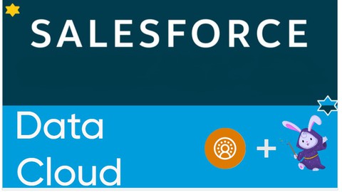 Salesforce Certified Data Cloud Consultant Exam [SU24]