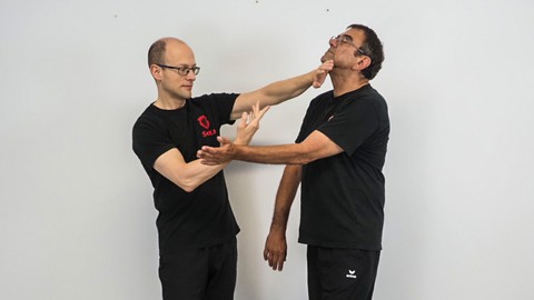 Die dritte Sektion Chi Sao im Wing Tsun