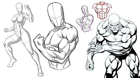 How to Draw Stylized Poses and Anatomy - Figure Drawing