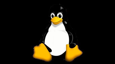 Linux Essentials to Expert: A Complete Masterclass