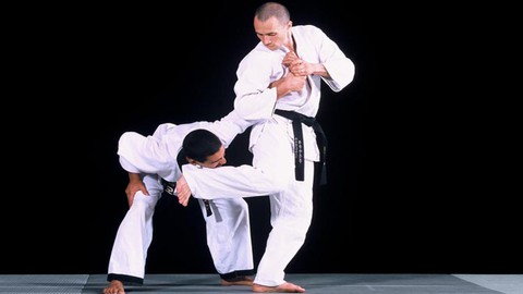 Hapkido - Du Débutant au Confirmé