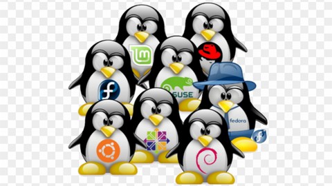 Linux LPIC-1 certificacion