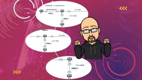 OSPFv2/OSPv3 and All Types of Areas