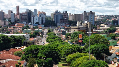 Arborização Urbana