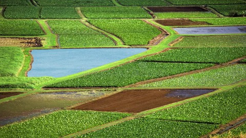 Urban Farming Foundation