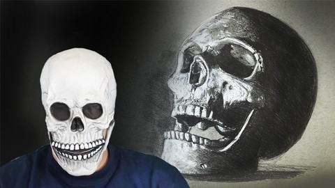 Drawing the Human Skull