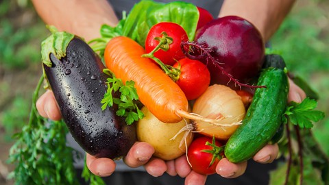 Beginners Guide to Vegetable Gardening