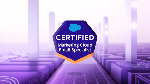 Salesforce Email Specialist Certification: 6 Practice Tests
