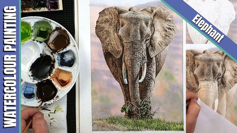 Watercolor Painting Lesson - Realistic Elephant in Detail