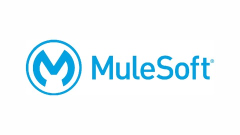 600+ MuleSoft Interview Questions Practice Test