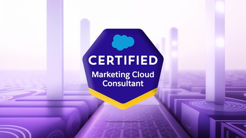 Salesforce Marketing Cloud Consultant Certification Exam
