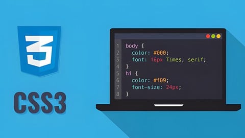 CSS Complete Guide (incl. Animation, Flexbox, Grid & Sass)