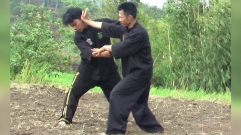 Pencak Silat - Pamonyet - The Monkey Fighting System Vol.1