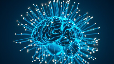 Programa  de Yoga y Neurociencia aplicado al bienestar