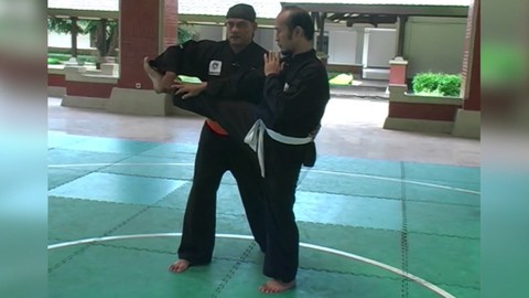 Pencak Silat - Training for Tanding