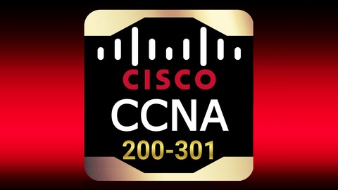 Cisco Certified Network Associate CCNA 200-301 Tests w/Labs