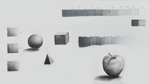 Pencil Drawing Mastery: Tonality, Shading & Hatching Skills