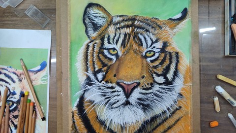 Soft Pastel İle Gerçekçi Kaplan Çizimi Öğrenin