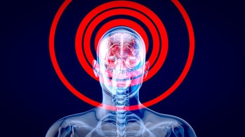 The Criteria Cognitive Aptitude Test (CCAT)