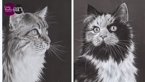 Master Cat Portraits: Create Stunning Feline Art with Pastel