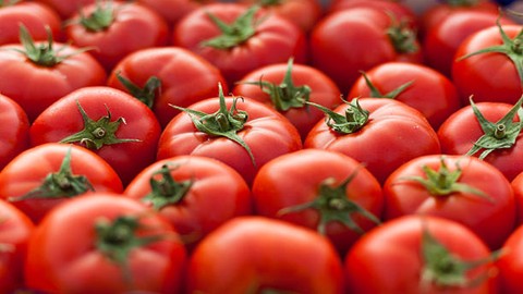 Tomatoes Planting And Disease Prevention