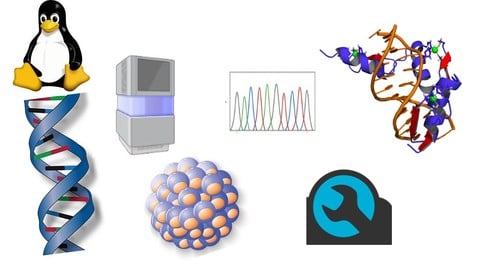 Bioinformatics: Learn NGS Data Analysis From Scratch