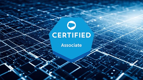 Salesforce Associate Certification: Practice Questions