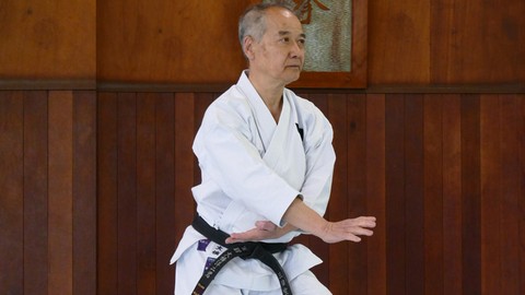 Shotokan Karate Keio Vol.8 Kata 5. Dan "Deutsch"