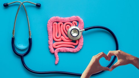 Gut Health Unleashed