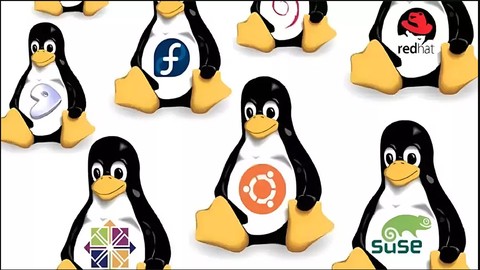 Linux Essentials capacitación