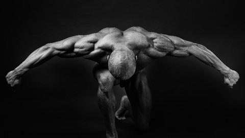 Discovering Joints : Structure and Movement [ Español ]