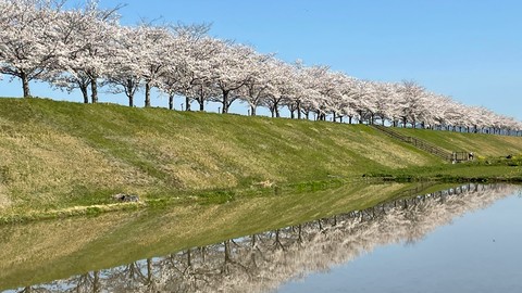 日语入门-轻松掌握日语50音