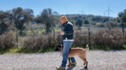 Köpek Eğitimi - Odaklı Topuk Yürüyüşü (Focused Heeling)