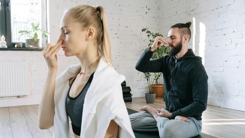 Fundamentals of Breathwork: Optimize Your Mood & Energy