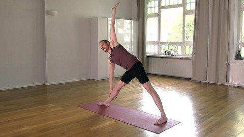 Hatha Yoga Basics für eine gesunde Haltung