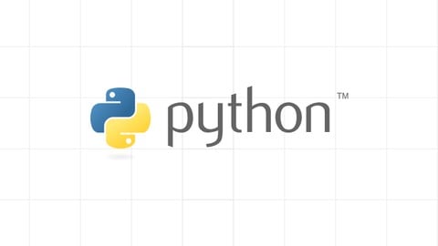 Python Programming Basics 2025: Free Crash Course