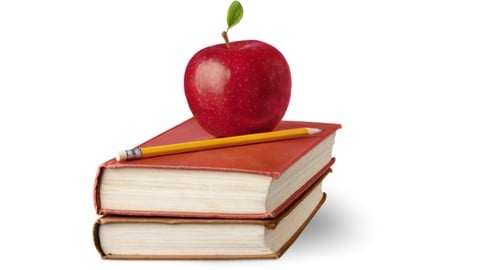 Instagram Growth for TPT Sellers (Teachers Pay Teachers)