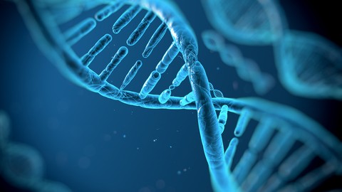 Corso di Radiestesia e Radionica Genetica