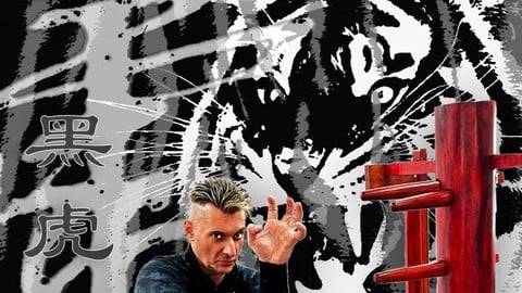 黑虎掃把腳: Black Tiger Sweeping Kick