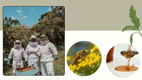 Comment produire du miel - Élevage des abeilles (Apiculture)