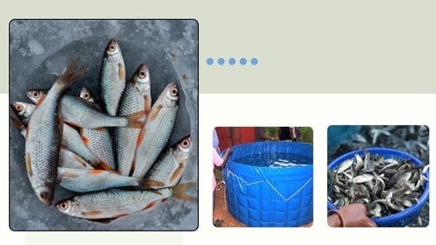 Pisciculture Hors-sol - Réussir l'élevage de poisson en bac