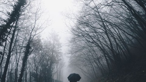 Ansiedad, tristeza y soledad: un curso para días grises