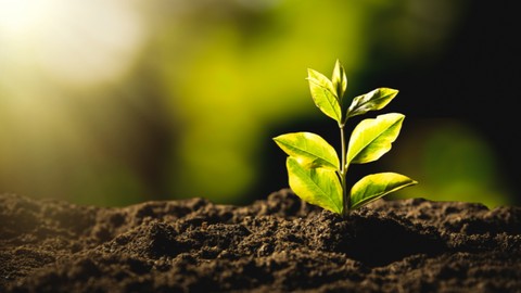Essentials of Environmental Stewardship & Management