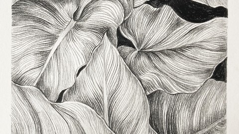 Foundations of Drawing: The Complete Beginner's Course 1