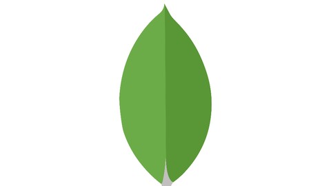 MongoDb Introduction course.