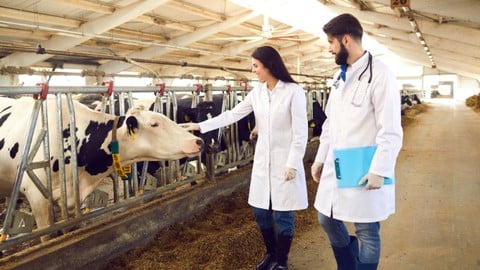 Certificate Course in Veterinary Pharmacovigilance