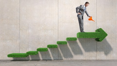 The Basics of Coaching