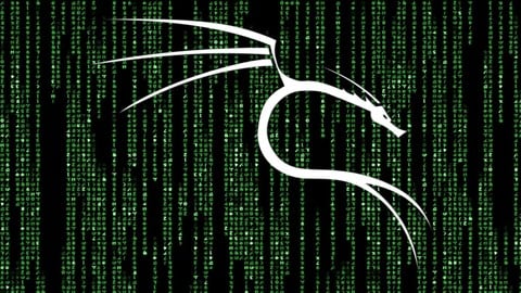 Professional Ethical Hacker with Kali Linux v2025