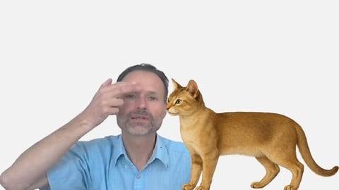 Apprendre à pratiquer l’EFT sur les chats